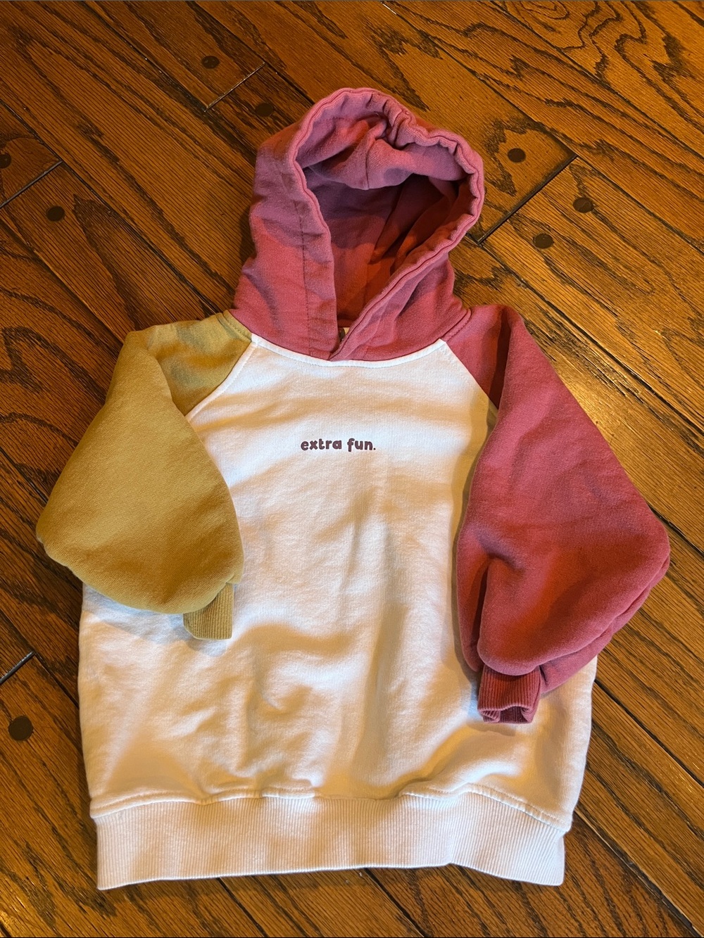 Zara “Extra Fun” hoodie